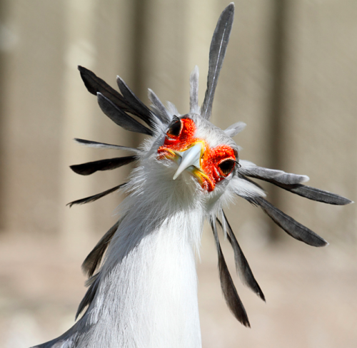 Bildschirmfoto 2019-04-11 um 10.00.13.png