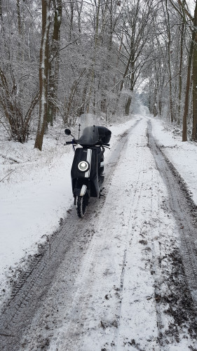 NIU Roller 20210201_094250 1 .jpg