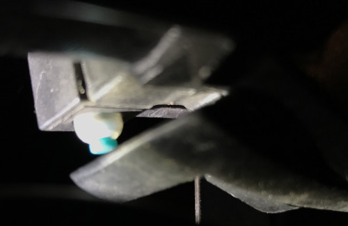 Niu Bremslichschalter 2.jpg