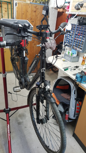 Lenkopflager 20220508_101125 (9).jpg