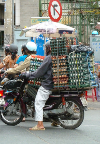 vietnam_eiertransport.jpg