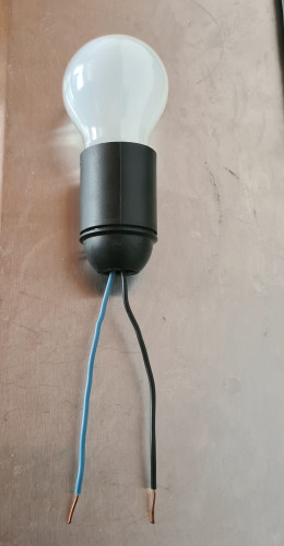 220 V  Glühbirne.jpg