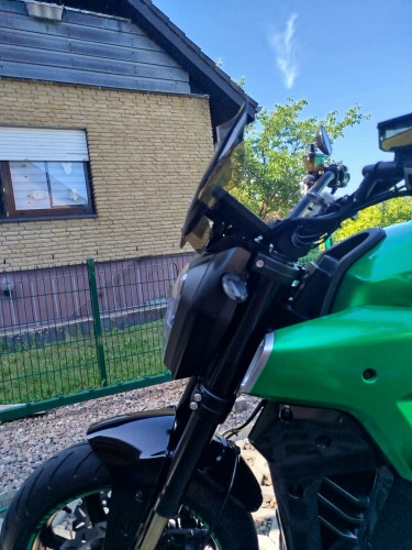 Windshield2.jpeg