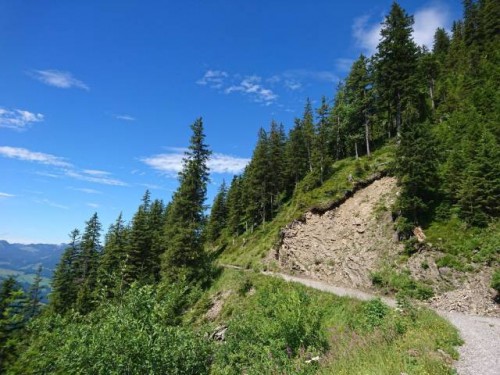 DSC_0914.JPG